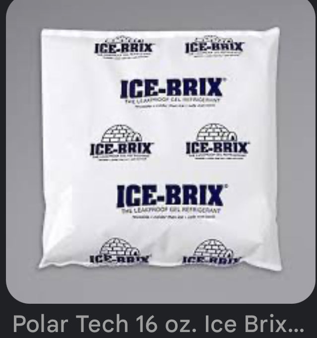 Leak proof ice packs