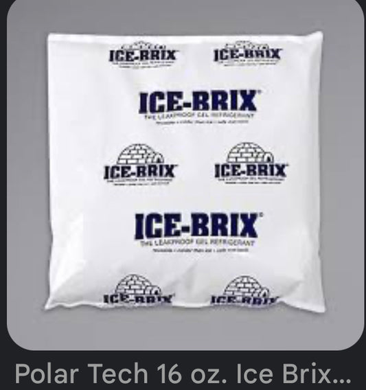 Leak proof ice packs