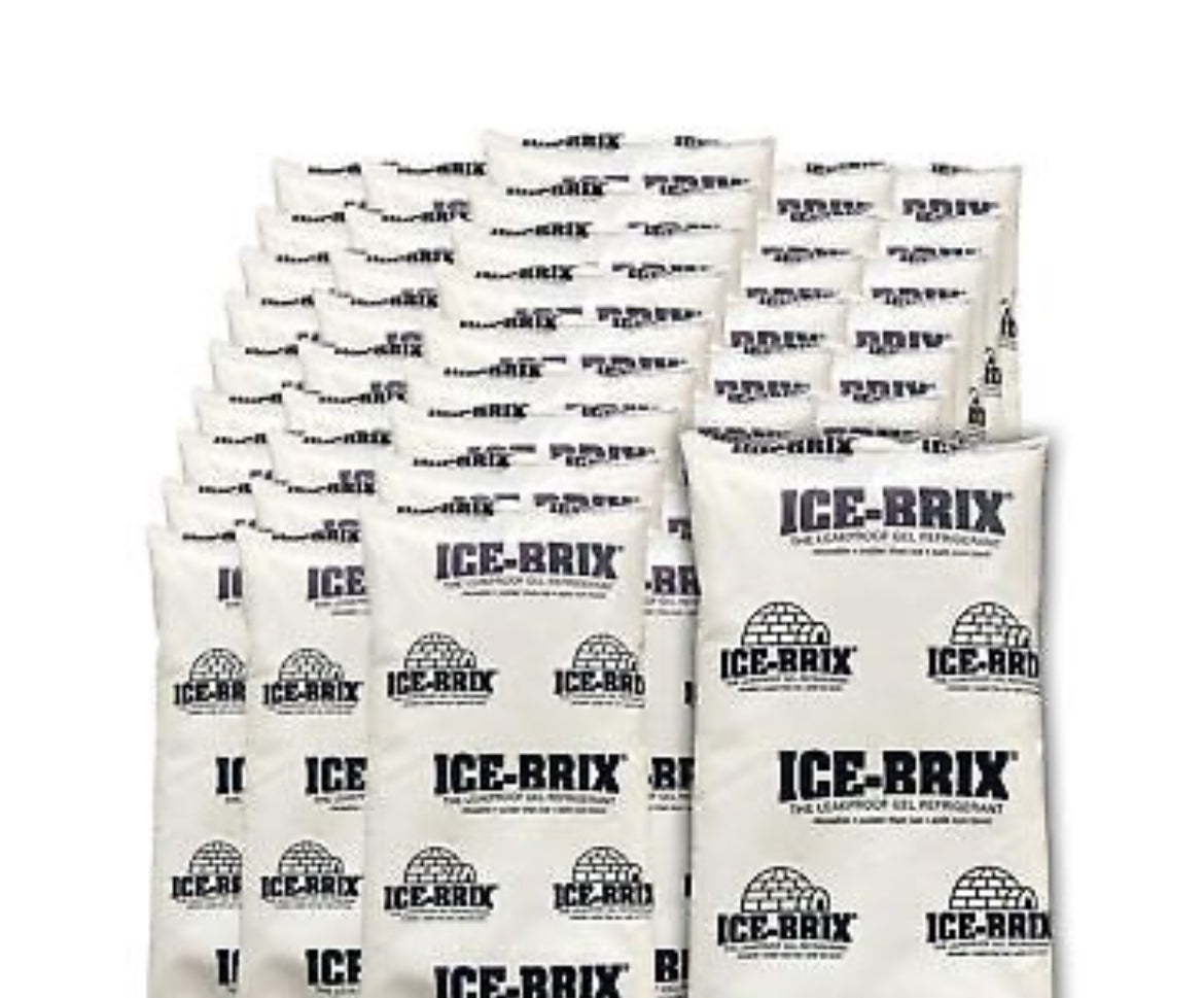 Leak proof ice packs