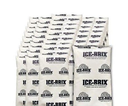 Leak proof ice packs
